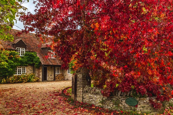 Terrasse de chalet rural avec arbres automnaux — Photo