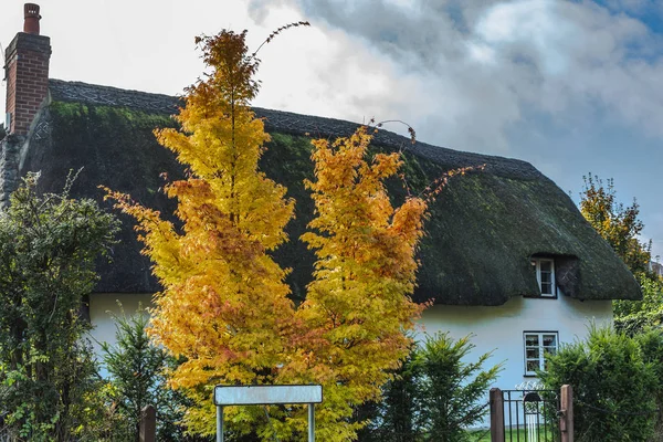 Vecchio cottage con alberi autunnali in giardino — Foto Stock