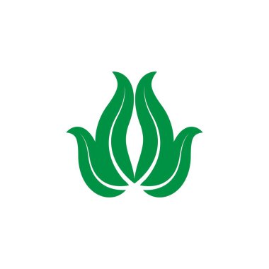 Yaprak logosu illüstrasyon tasarımı