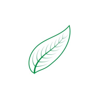 Yaprak logosu illüstrasyon tasarımı