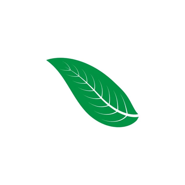 Leaf Logo Stock Illustration Design — 스톡 벡터