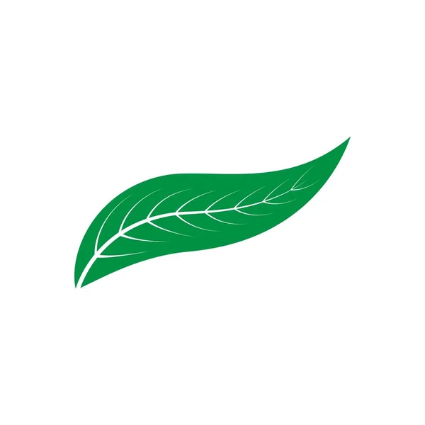 Leaf Logo Stock Illustration Design — 스톡 벡터