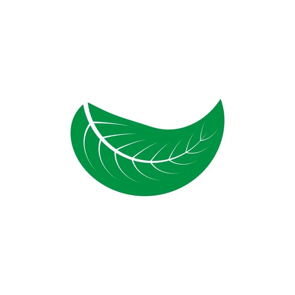 Feuille Logo Stock Illustration Design — Image vectorielle