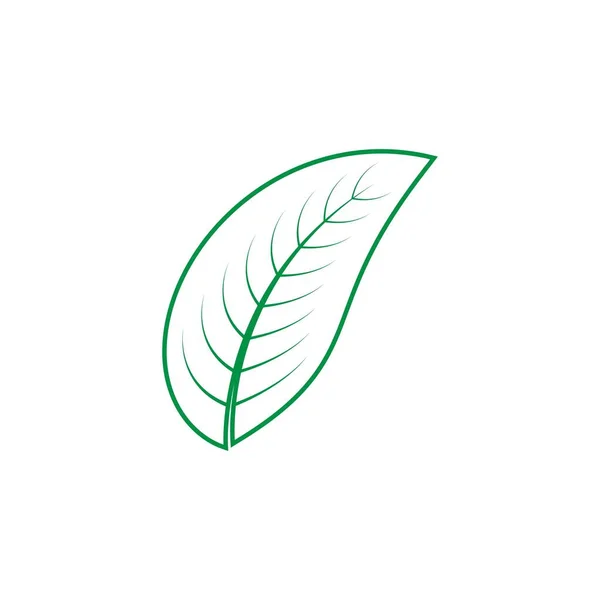 Folha Logotipo Estoque Ilustração Design —  Vetores de Stock