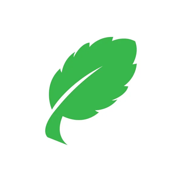 Blad Logo Voorraad Illustratie Ontwerp — Stockvector