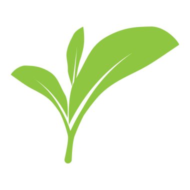 Yaprak logosu illüstrasyon tasarımı