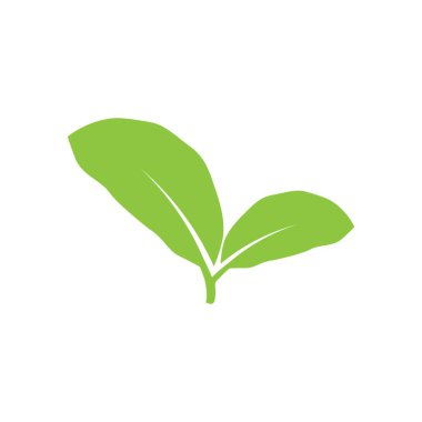 Yaprak logosu illüstrasyon tasarımı