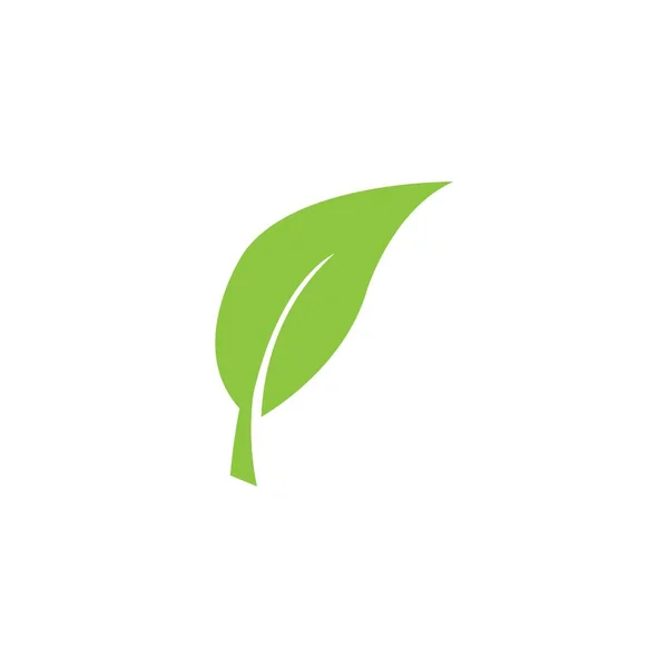 Yaprak logosu illüstrasyon tasarımı