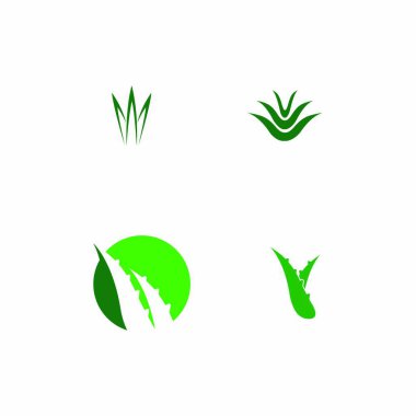 aloe vera logo stok illüstrasyon tasarımı