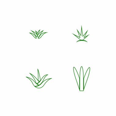 aloe vera logo stok illüstrasyon tasarımı