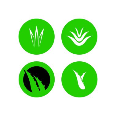 aloe vera logo stok illüstrasyon tasarımı