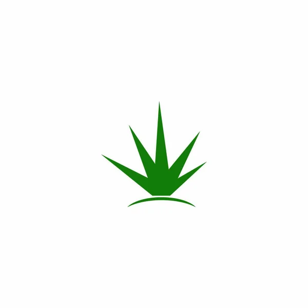 Aloe Vera Logotipo Estoque Ilustração Design —  Vetores de Stock
