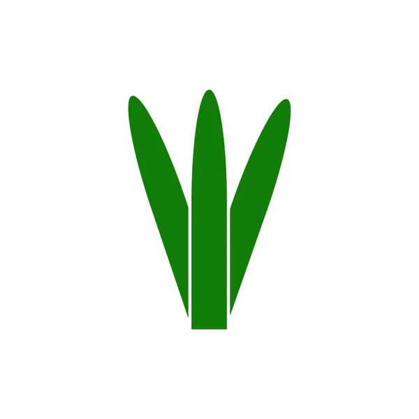 Aloe Vera Logo Illustration Stock Design — Image vectorielle
