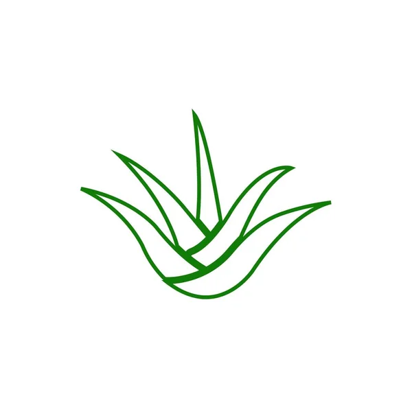 Aloe Vera Logotipo Estoque Ilustração Design —  Vetores de Stock