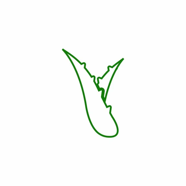 Алоэ Вера Дизайн Логотипа Иллюстрации — стоковый вектор