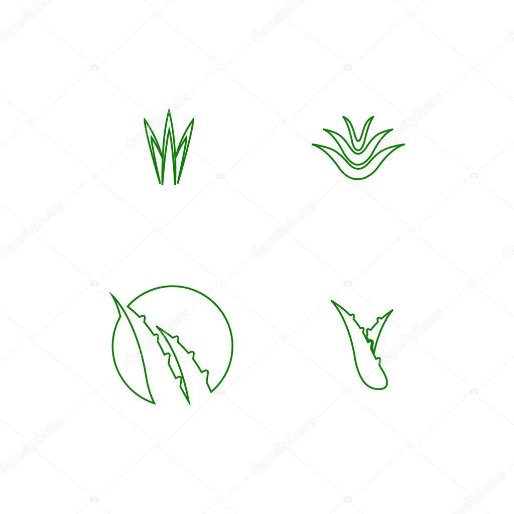 Aloe vera logo stock illustration design