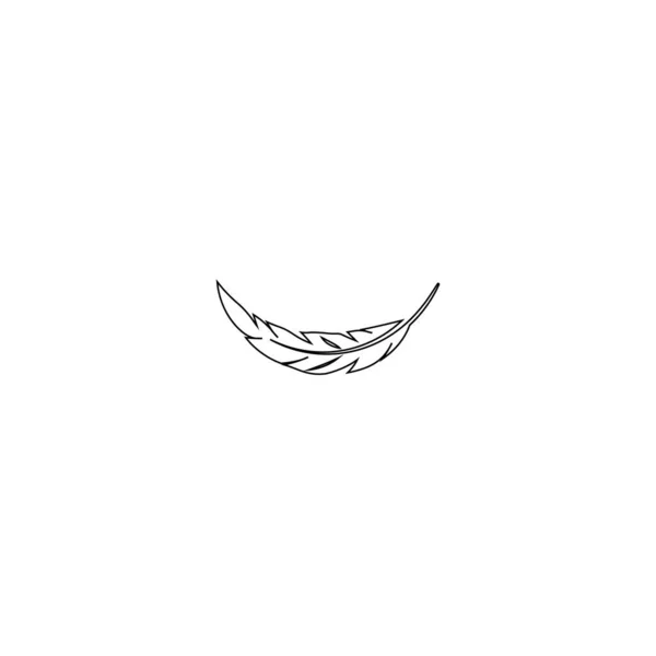羽毛徽标图解设计 — 图库矢量图片