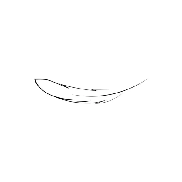 Feather Ilustration 템플릿 — 스톡 벡터