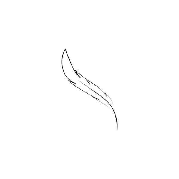 Templat Logo Feather Ilustration - Stok Vektor