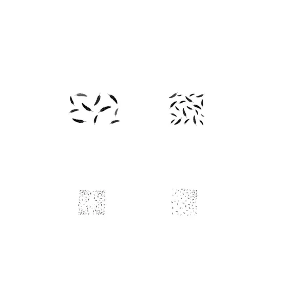 Дизайн Иллюстрации Логотипа Перьев — стоковый вектор