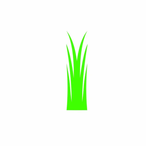 Herbe Logo Illustration Stock Design — Image vectorielle