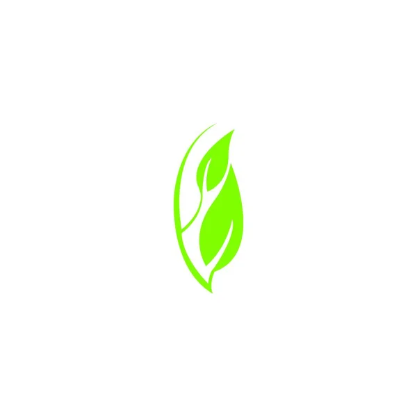 Modèle Logo Feuille Arbre Écologique — Image vectorielle