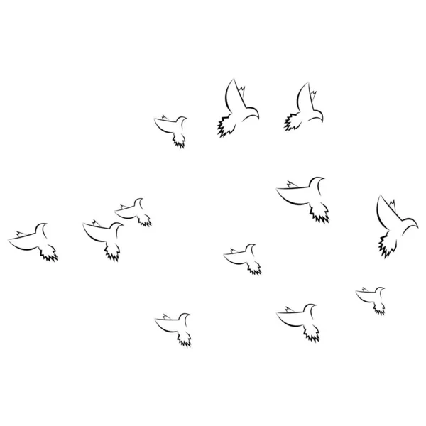 Pigeon Logo Illustration Stock Design — Image vectorielle