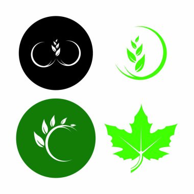 Eko Ağacı Yaprak Şablonu