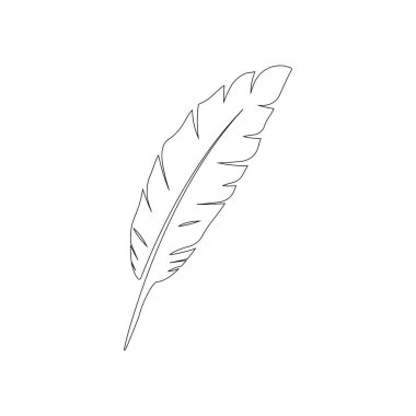 Tüy logosu vektör şablonu