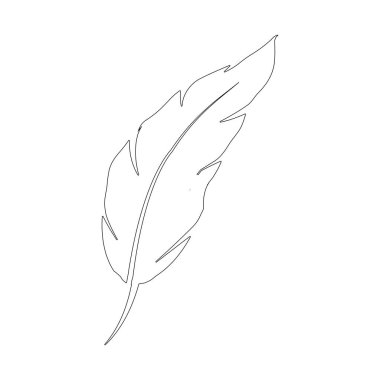 Tüy logosu vektör şablonu