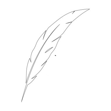 Tüy logosu vektör şablonu