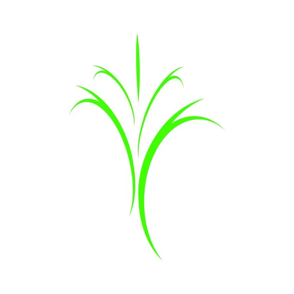 エコツリー葉ロゴテンプレート — ストックベクタ