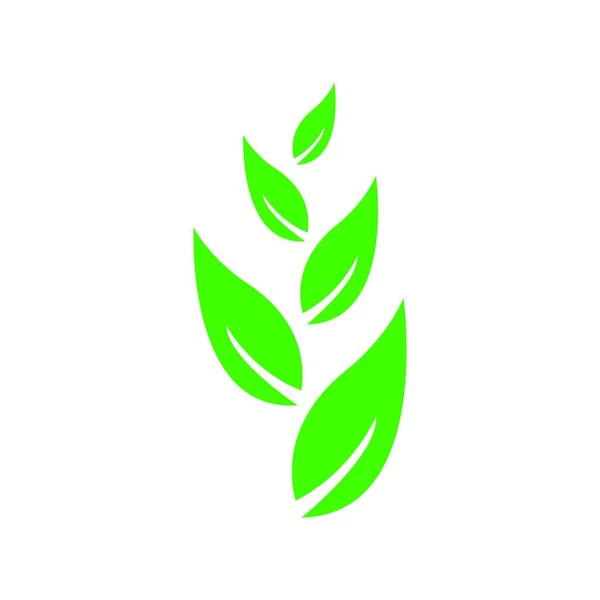 Modèle Logo Feuille Arbre Écologique — Image vectorielle