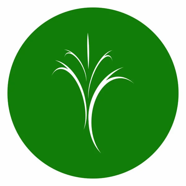 Plantilla Logotipo Hoja Árbol Ecológico — Vector de stock