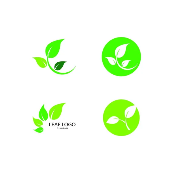 Eco Tree Blad Logotyp Mall — Stock vektor