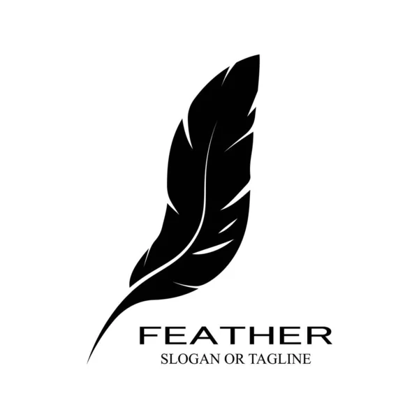 Tüy logosu vektör şablonu