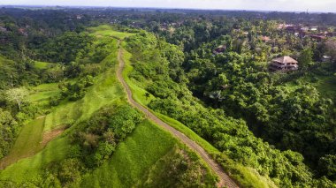Campuhan Tepesi Yolu Ubud şehrinin ortasında yer almaktadır. Bu tepe, sağında ve solunda vadiler olan bir prizma oluşturuyor. Tepenin ortasında bölünen bir patika var. Gözün görebildiği kadarıyla, uçsuz bucaksız otların manzarası var..