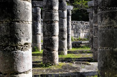 Savaşçılar Tapınağı ve antik Maya şehri Chichen Itza 'da binlerce koldan oluşan bir grup. Yucatan. Meksika.