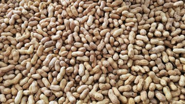 Tay tarzı haşlanmış fıstık