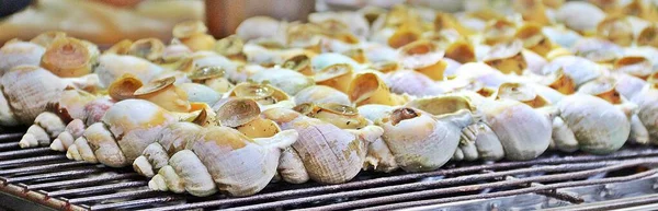 Concéntrate Asar Conchas Mariscos Estufa — Foto de Stock