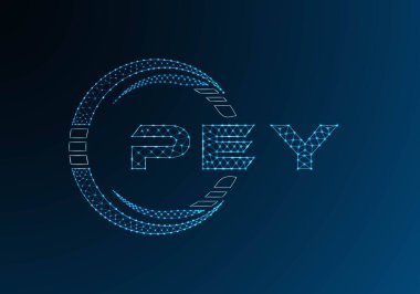 PEY düşük poli harfli logo vektör tasarımı. PEY düşük polyester logo tasarımı. Düşük polyester logo.