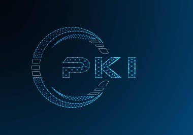 PKI düşük poli harfli logo vektör tasarımı. PKI düşük polyester logo tasarımı. Düşük polyester logo.