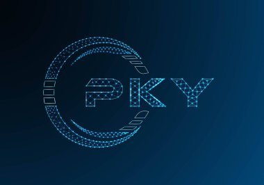 PKY düşük poli harfli logo vektör tasarımı. PKY düşük poli logo tasarımı. Düşük polyester logo.