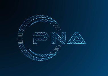 PNA düşük poli harfli logo vektör tasarımı. PNA düşük polyester logo tasarımı. Düşük polyester logo.