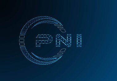 PNI düşük poli harfli logo vektör tasarımı. PNI düşük poli logo tasarımı. Düşük polyester logo.