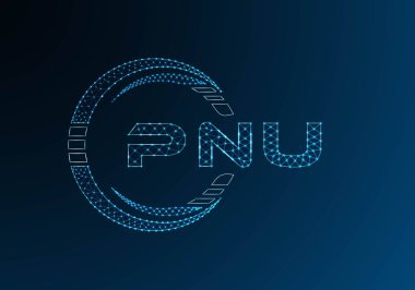 PNU düşük poli harfli logo vektör tasarımı. PNU düşük polyester logo tasarımı. Düşük polyester logo.