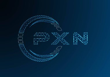 PXN düşük poli harfli logo vektör tasarımı. PXN düşük polyester logo tasarımı. Düşük polyester logo.