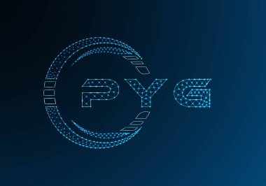 PYG düşük poli harfli logo vektör tasarımı. PYG düşük polyester logo tasarımı. Düşük polyester logo.