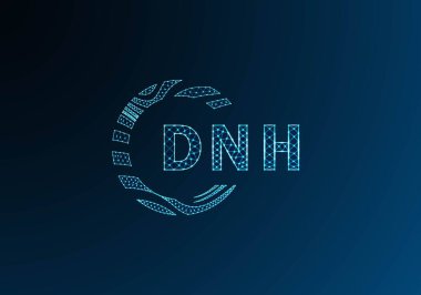 DNH düşük poli harfli logo vektör tasarımı. DNH düşük poli logo tasarımı. DNH benzersiz düşük poli logo tasarımı.