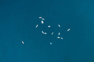 Mavi Akdeniz 'de sörf yapan insanların en iyi görüntüsü.